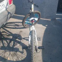 دوچرخه ویوا 24