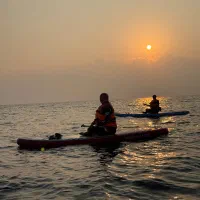 پدل برد سواری