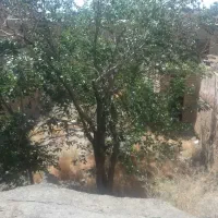 کلنگی باغشاد|فروش خانه و ویلا|فولادشهر, باغشاد|دیوار