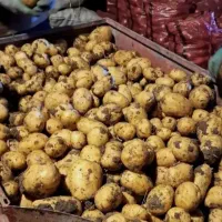 سیب زمینی جلی و بامبا