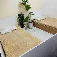 دو عدد تخت یک نفره