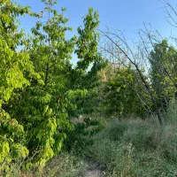 باغ چهار دیواری در محدوده شهری مهستان تهاتر