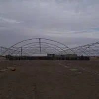 نصب و جوشکاری گلخانه  خانگی و صنعتی|خدمات پیشه و مهارت|هامون, |دیوار