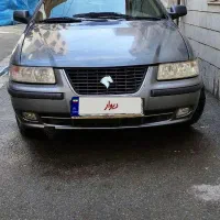 سمند نوک مدادی