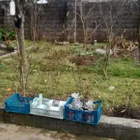 راهنمایی کافه شریکی|اجارهٔ مغازه و غرفه|رشت, آتشگاه|دیوار