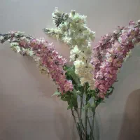 8 شاخه گل زیبا|گل مصنوعی|همدان, |دیوار