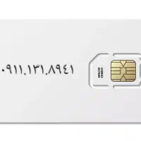 ۰۹۱۱.۱۳۱.۸۹۴۱