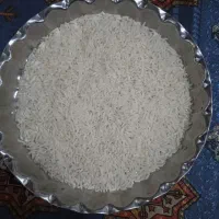 برنج طارم هاشمی درجه یک