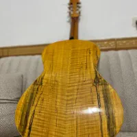 گیتار تمام چوب|گیتار، بیس، امپلیفایر|دورود, |دیوار