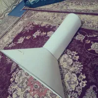 هود|هود|اهواز, گلدشت|دیوار