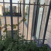 نیروی مبتدی|استخدام صنعتی، فنی، مهندسی|ری, سیزده آبان|دیوار