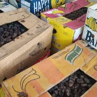 خرمای پاک کرده|خوردنی و آشامیدنی|سعدآباد, |دیوار