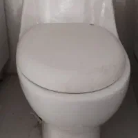 تولت فرنگی کم کار