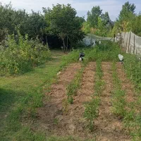 زمین مسکونی روستای ماشاتوک