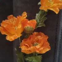 باکس گل شیشه ای مصنوعی مناسب هدیه|گل مصنوعی|رباطکریم, رباطکریم|دیوار