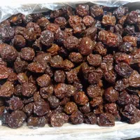 آلوچه مشکی