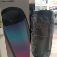 انواع اسپیکر|پخشکننده همراه|قشم, |دیوار