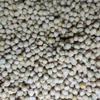 نخود امسال|خوردنی و آشامیدنی|سراجو, |دیوار