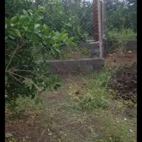 فروش زمین کشاورزی جنب آزادراه قائمشهر ساری