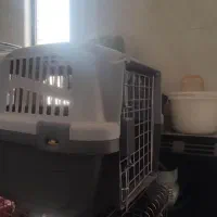 باکس سگ خونه سگ لانه سگ خانه لونه اکبند|لوازم جانبی حیوانات|اصفهان, کوی نرگس|دیوار