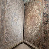 فرش9متری|فرش|بومهن, |دیوار