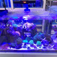 انواع اکواریوم،تجهیزات شور و شیرین