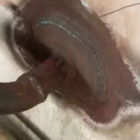 استخدام فیتر