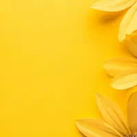 صدور بیمه اقساطی وتخفیف.ثالث،بدنه،آتش سوزی،حوادث