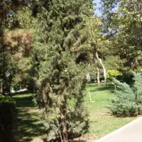 طبیعت گردی|فعالیت داوطلبانه|تهران, اکباتان|دیوار