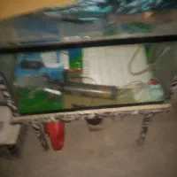 آکواریوم خانگی