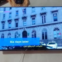 ال ای دی نیکورا 43|تلویزیون و پروژکتور|رفسنجان, |دیوار