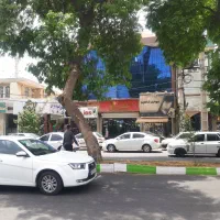 مغازه گل پاساژ پزشکپور