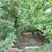 خانه و زمین در بیضا|فروش زمین و ملک کلنگی|بیضا, |دیوار