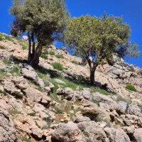 جاده-آبگرم-هماشهر