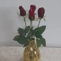 گلدان وگل|گل مصنوعی|مشهد, رسالت|دیوار