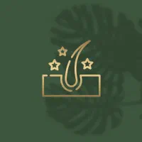 استخدام اپراتور لیزر شاتی تمام وقت