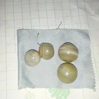 مهره نر وماده سلیمانی
