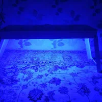 اجاره دستگاه زردی نوزاد و شیردوش برقی