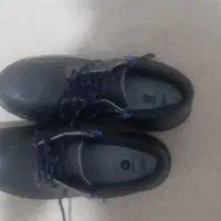 کفش ایمنی ساقدار