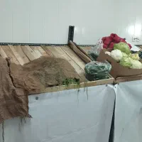 میز میوه