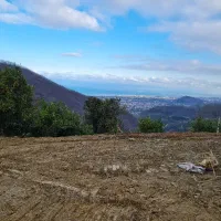 مشارکت و تهاتر ۳۰۰۰ متری در رامسر ( اربکله)|مشارکت در ساخت املاک|رامسر, |دیوار