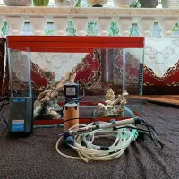 آکواریوم با شیشه خم شرکتی،فقط و فقط،
