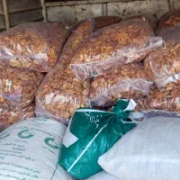 برگه زردالو قیسی درهم|خوردنی و آشامیدنی|ایجرود, |دیوار