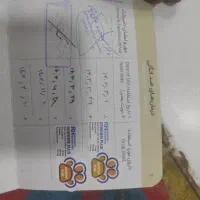 سگ پاکوتاه پشمالو|سگ|مینودشت, |دیوار