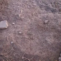 زمین فروشی واقع در حافظ آباد