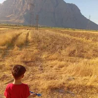 زمین کشاورزی