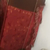 پشتی‌در‌حد‌نو