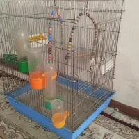 قفس بزرگ برای تمام پرندگان+وسایل