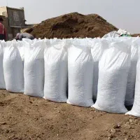 کود حیوانی پوسیده آماده