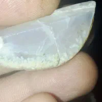 سنگ شجر|کلکسیون اشیاء عتیقه|زابل, |دیوار